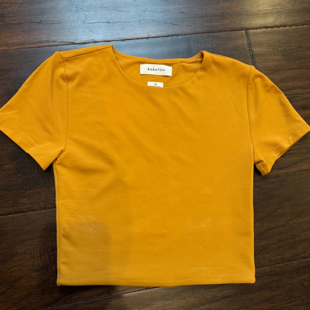 Aritzia Babaton short sleeve contour crop top.